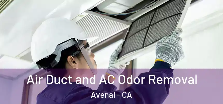  Air Duct and AC Odor Removal Avenal - CA