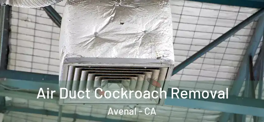  Air Duct Cockroach Removal Avenal - CA