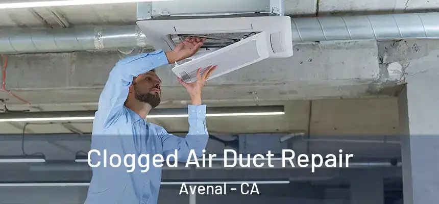  Clogged Air Duct Repair Avenal - CA