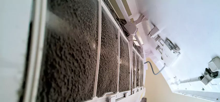 Preventive Air Duct Bacteria Removal in Avenal