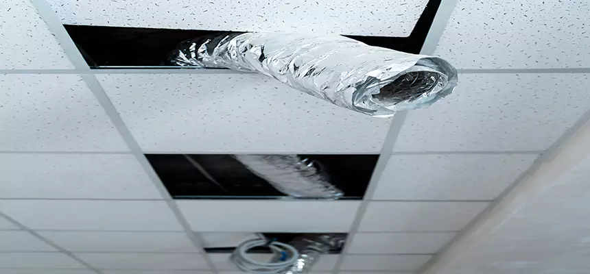 Our Air Duct Pet Hair Removal Services in Avenal, CA