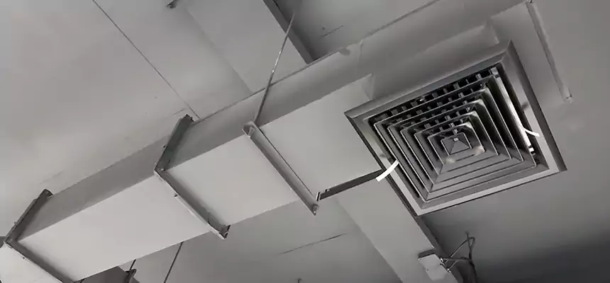 Our Rodent Droppings In Vents Services in Avenal, CA