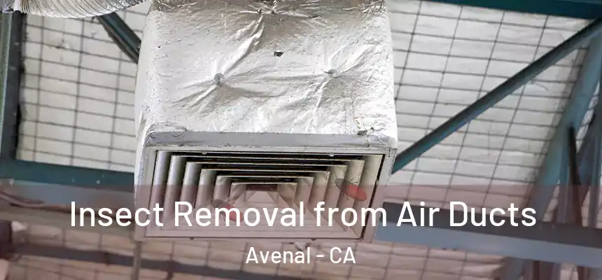  Insect Removal from Air Ducts Avenal - CA