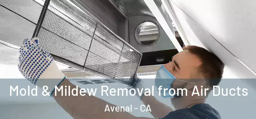 Mold & Mildew Removal from Air Ducts Avenal - CA
