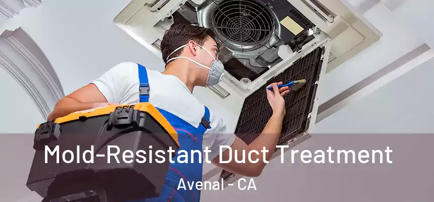  Mold-Resistant Duct Treatment Avenal - CA