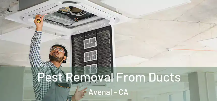  Pest Removal From Ducts Avenal - CA