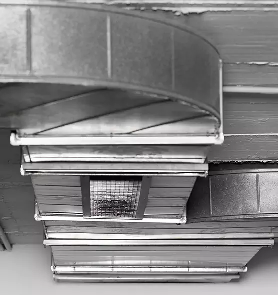 Professional Air Duct Pest Removal in Avenal, CA