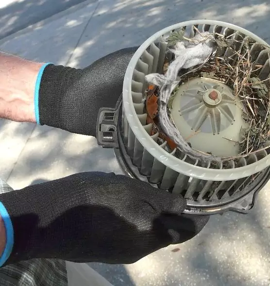 About Air Duct Rat Removal in Avenal, CA