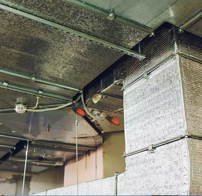 Why Homeowners & Businesses Trust Us in Avenal, CA?