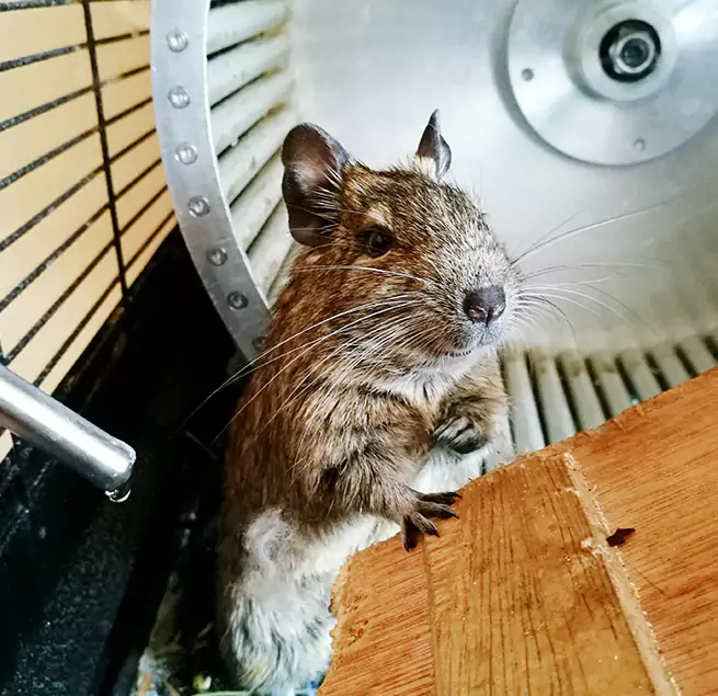 Why Homeowners & Businesses Trust Us Avenal, CA?