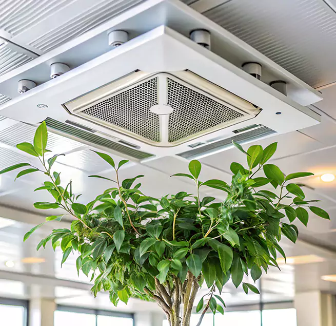 Why Homeowners & Businesses Trust Us in Avenal, CA